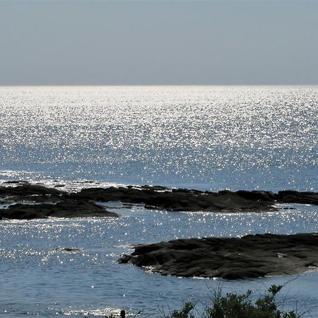 لا توربال Vitamin Sea المظهر الخارجي الصورة