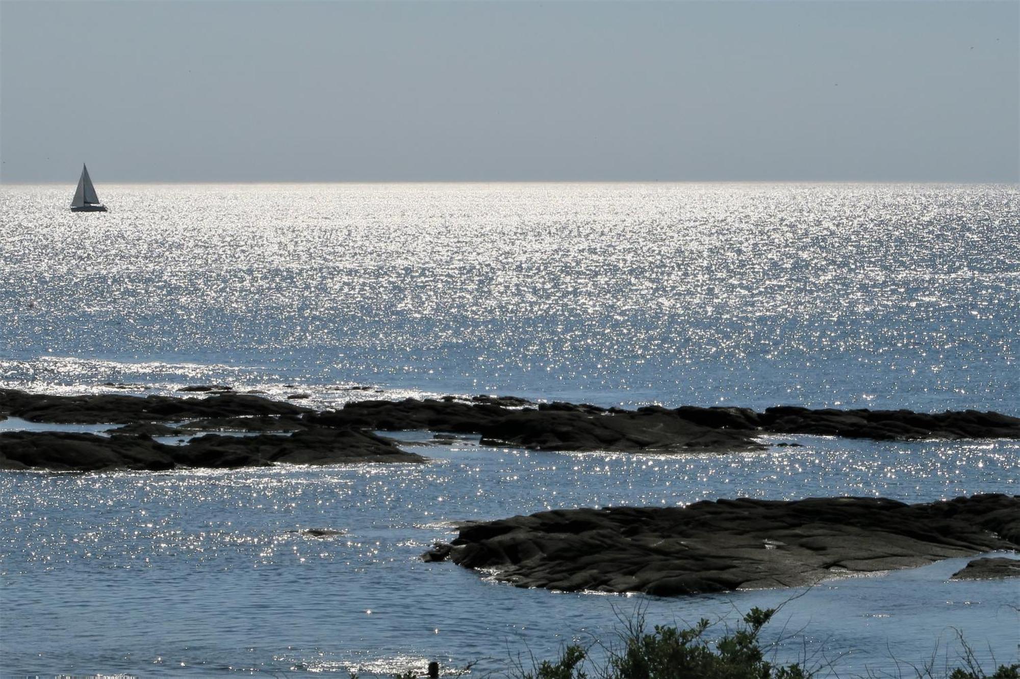 لا توربال Vitamin Sea المظهر الخارجي الصورة